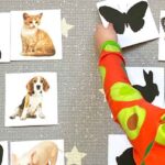 montessori-flash-cards