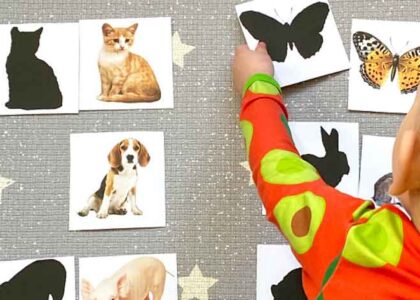montessori-flash-cards